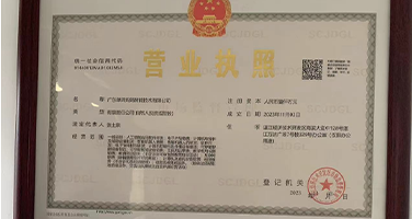 执照